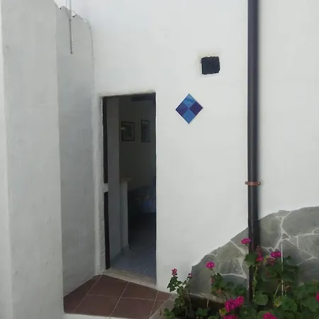 Barbaricino Iun F1442