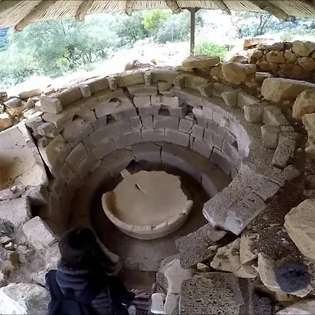 Barbaricino Iun F1442 * Oliena