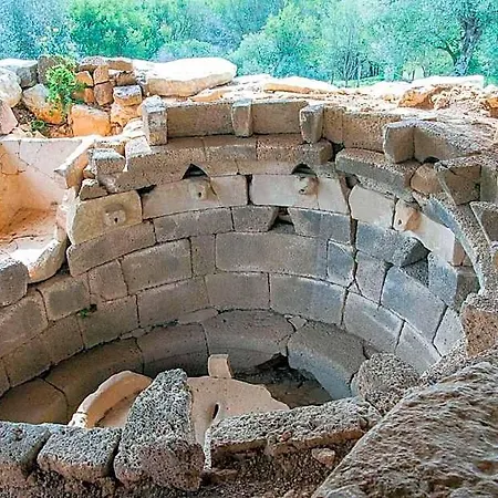 Barbaricino Iun F1442 3*