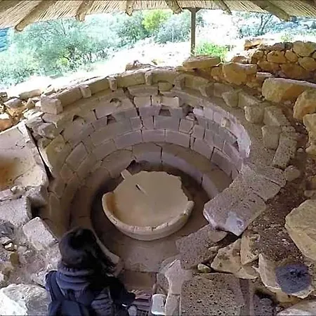 Barbaricino Iun F1442 3* Oliena
