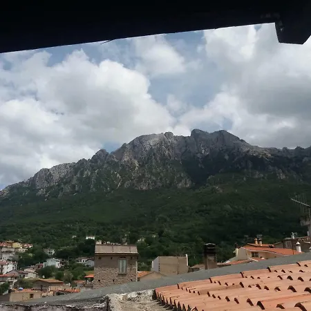 Barbaricino Iun F1442 Oliena